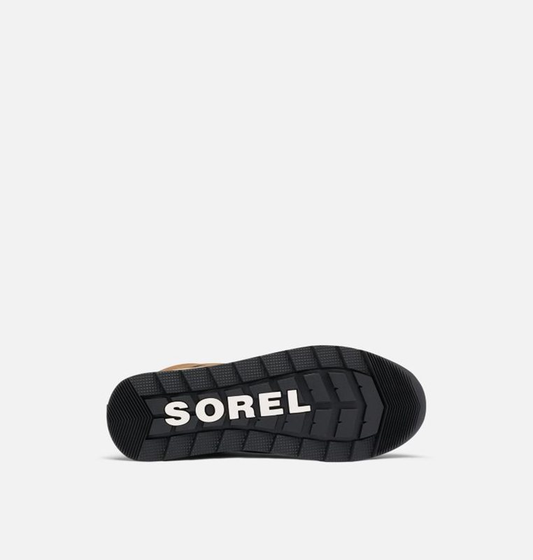 Sorel Kadın Whitney™ Ii Short Lace Kısa - Kar Botu Kahverengi/Siyah - 079-UGJVWZ